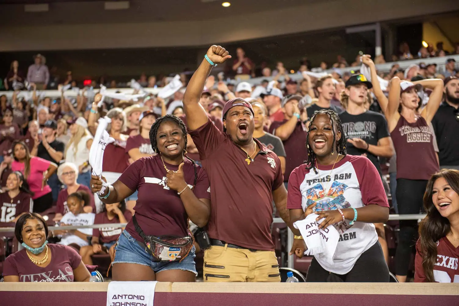 People in the stands cheering